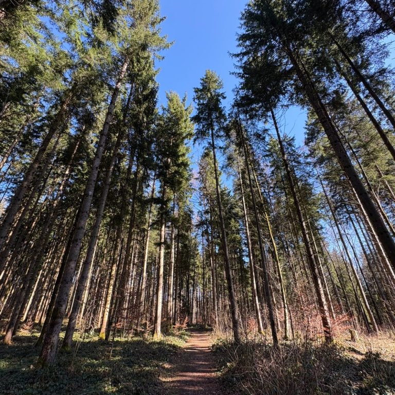 Psychotherapeutische Unterstützung Psychotherapeutische Unterstützung
